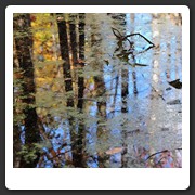 10_10_2009_057_d3