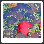 10_10_2009_095_d3