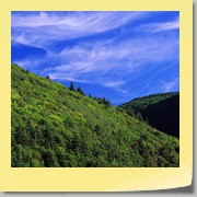 sFV50_0130_09