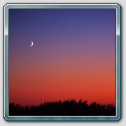 sFV50_0130_19