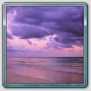 sFV50_0214_04