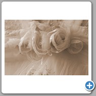 Bridal preparations